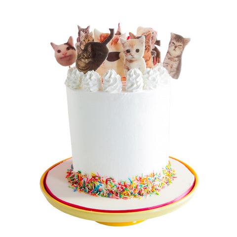 Cat Party Cake - Pastel de Michis