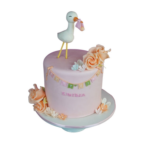 Welcome Baby Cake - Pastel de Cigüeña