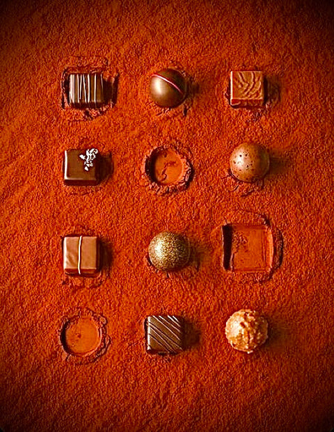 Cocoa: El Tesoro Chocolateado que Endulza el Mundo