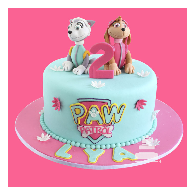 Palabra Metáfora portátil Paw Patrol Girly, pastel decorado de paw patrol fondant para niña