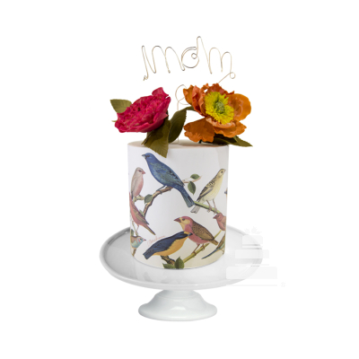 Bloom Bird, pastel con estampado de pajaritos y flores