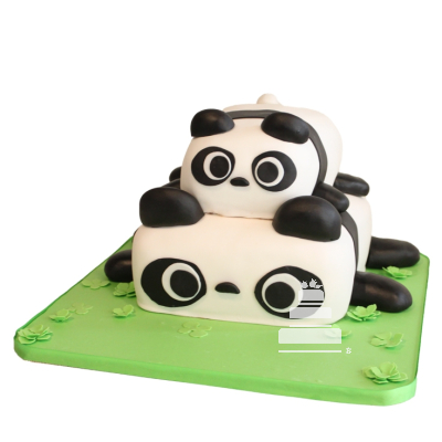 China Pandas