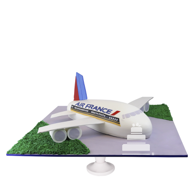 Airplane Cake, Pastel decorado con forma de avión